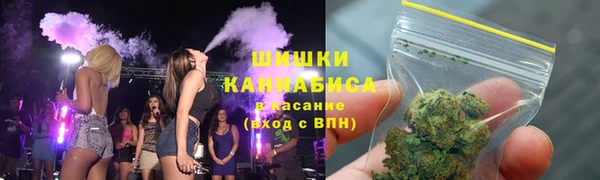 дмт Богданович