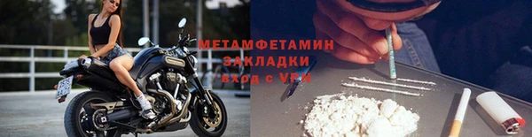 сатива Бородино