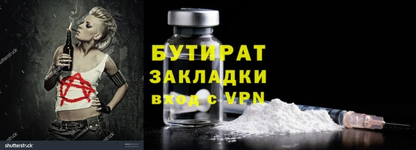 сатива Бородино