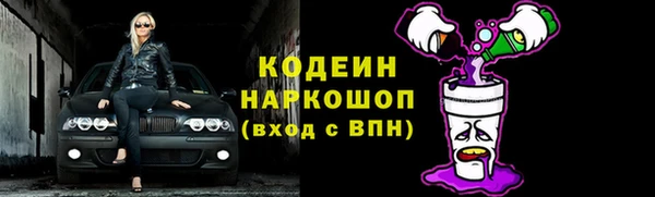 сатива Бородино