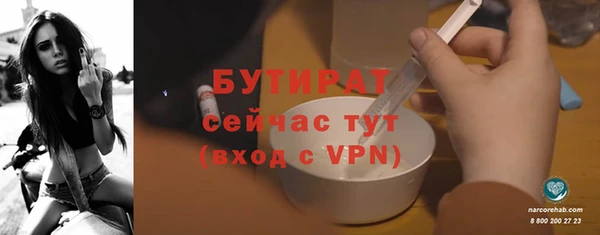 сатива Бородино