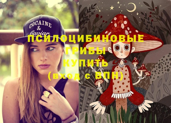 сатива Бородино