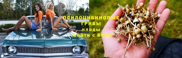 2c-b Бронницы