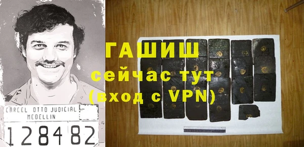 дмт Богданович