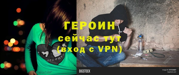 дмт Богданович