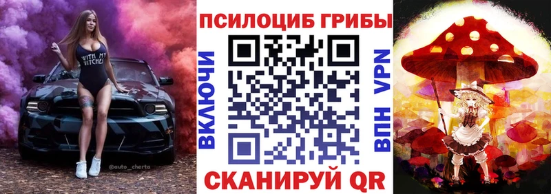 Псилоцибиновые грибы Magic Shrooms  Купить где  Новоузенск 